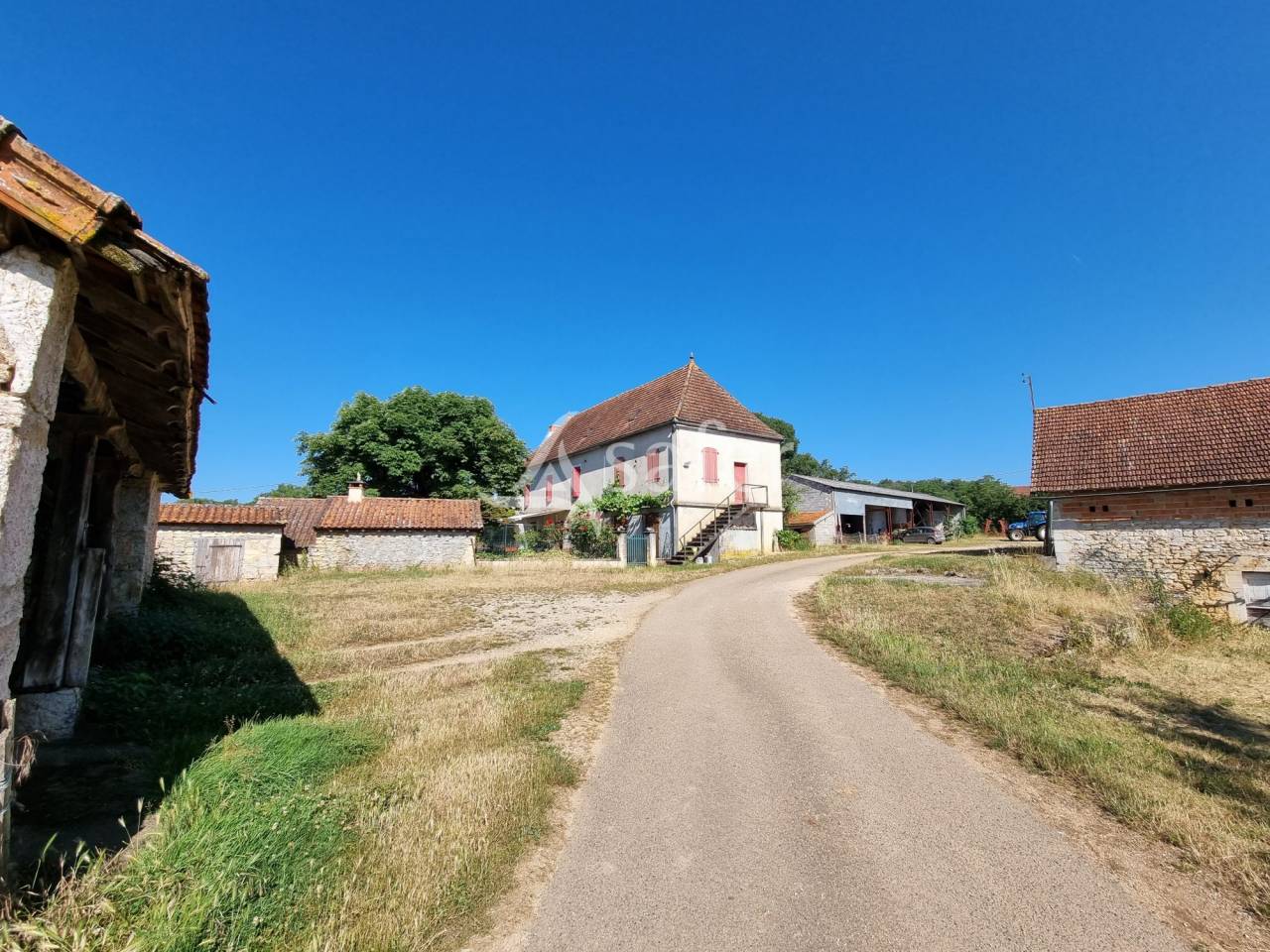 Azienda ovina In vendita Lot