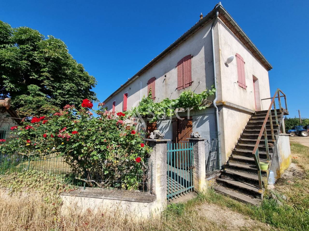 Azienda ovina In vendita Lot