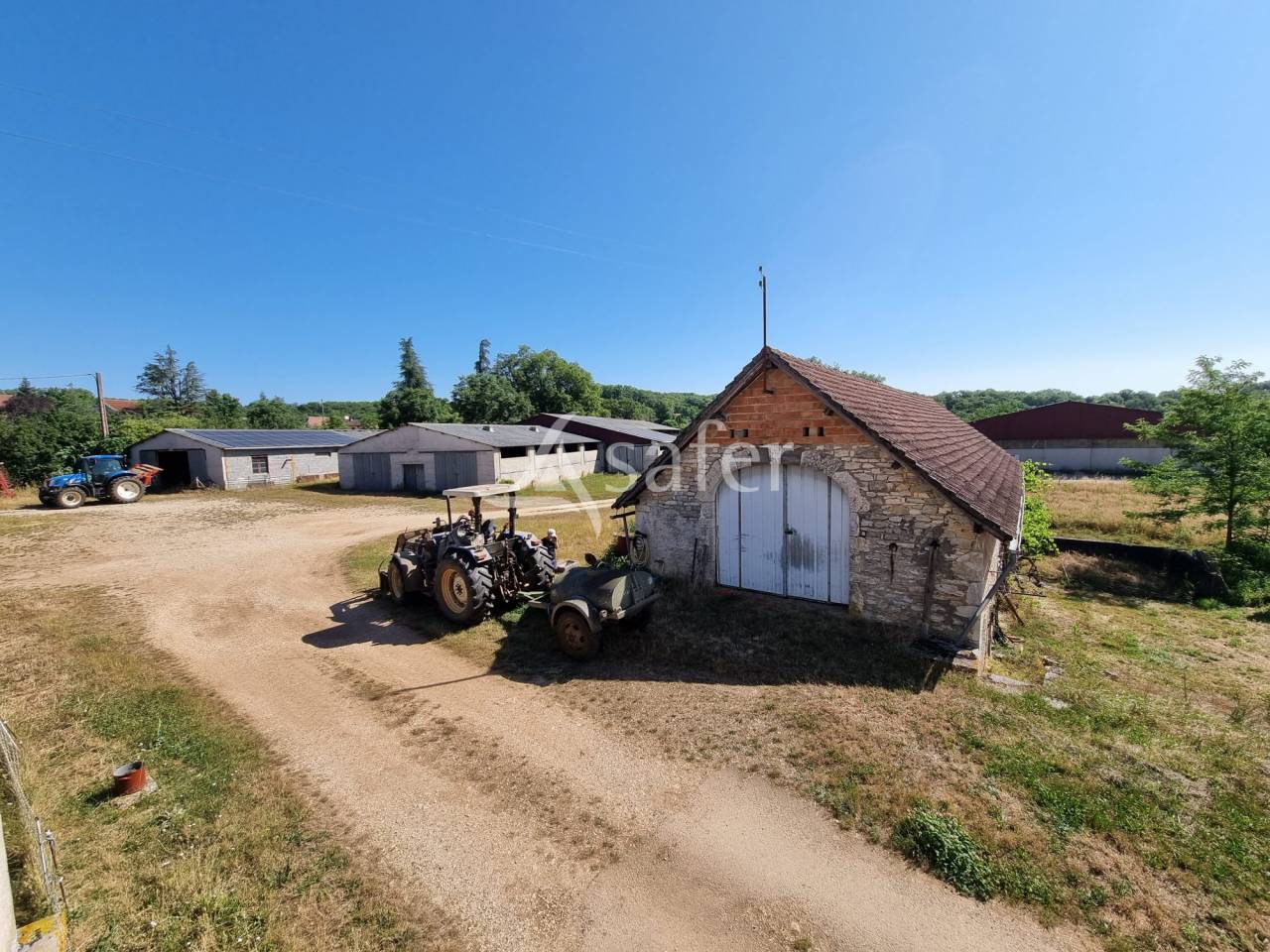 Azienda ovina In vendita Lot