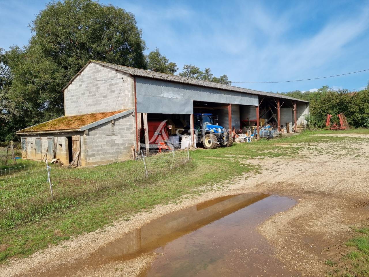 Azienda ovina In vendita Lot