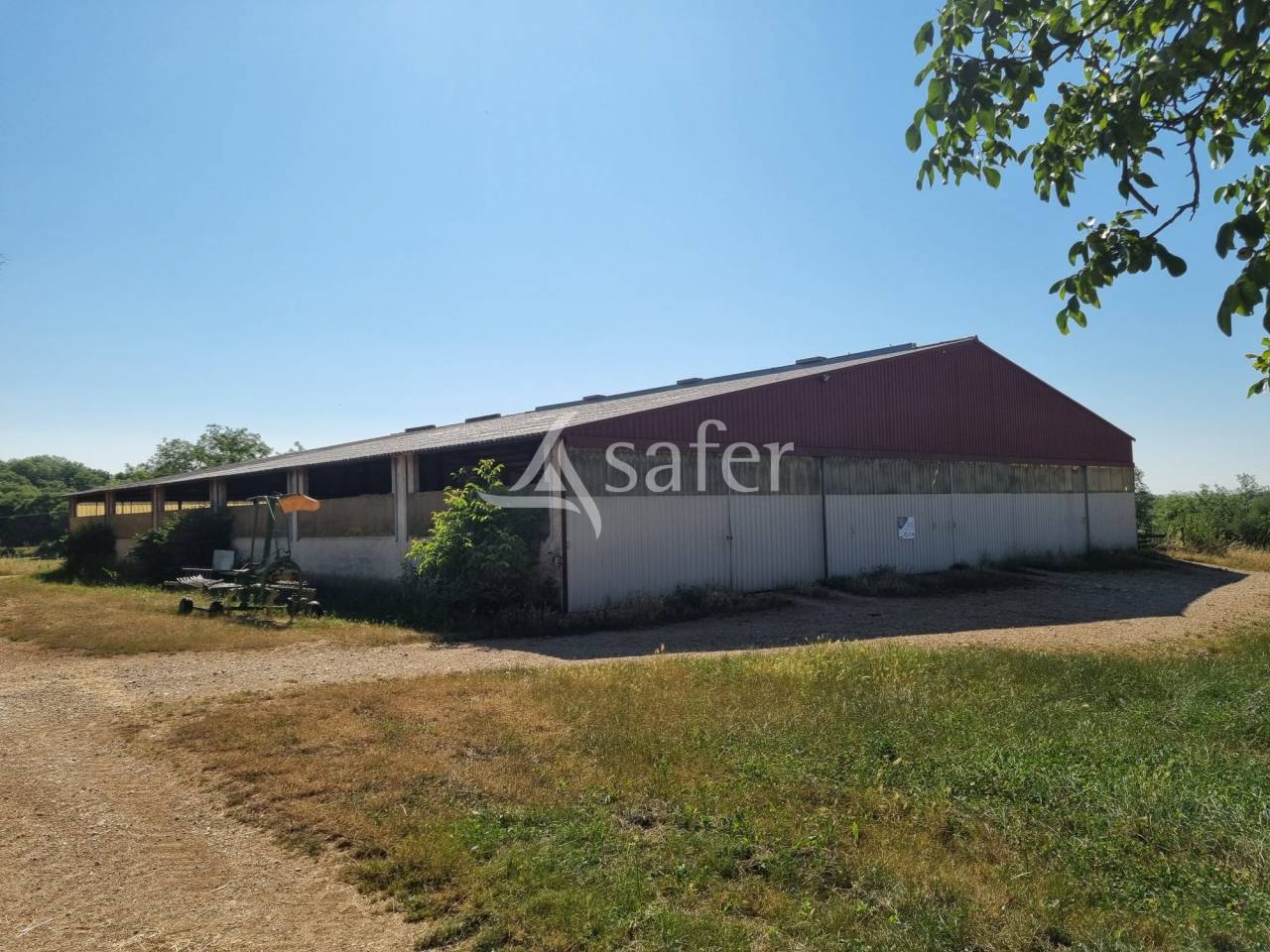 Azienda ovina In vendita Lot