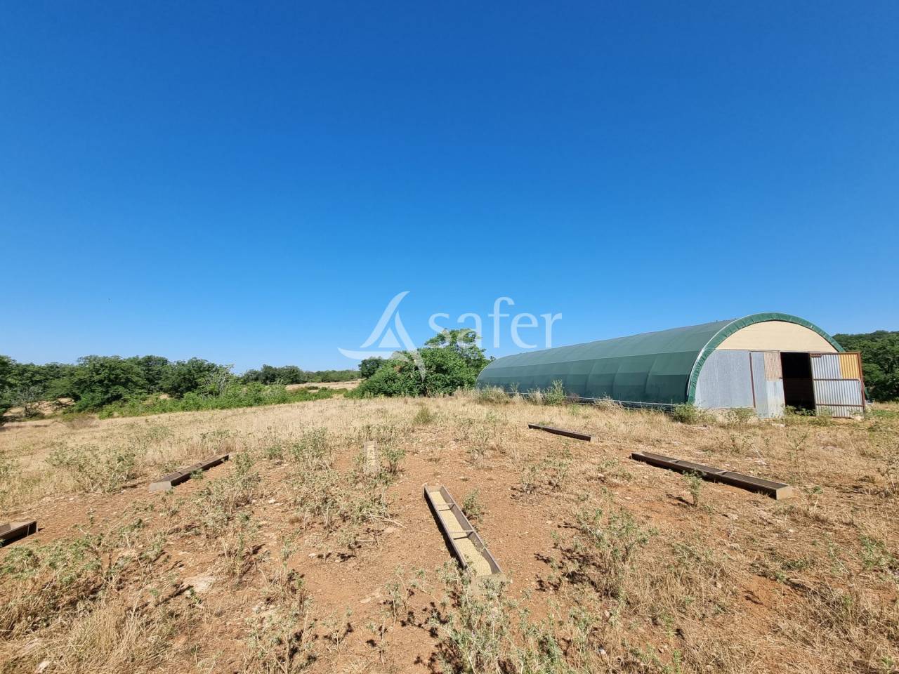 Azienda ovina In vendita Lot