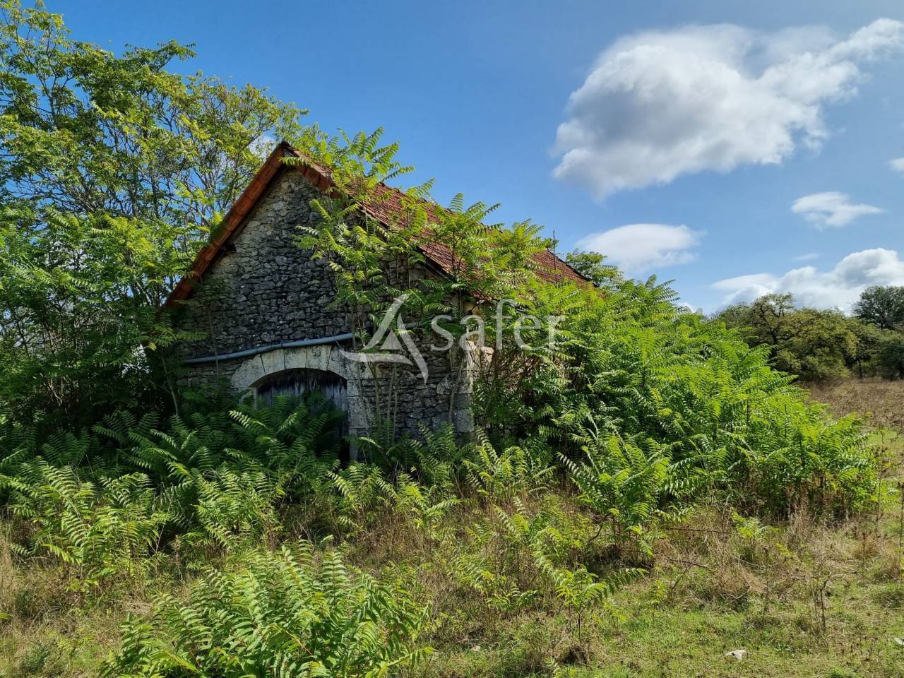 Azienda ovina In vendita Lot