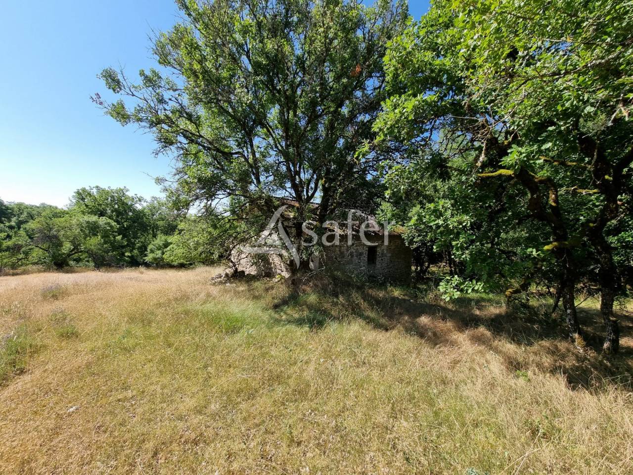 Azienda ovina In vendita Lot