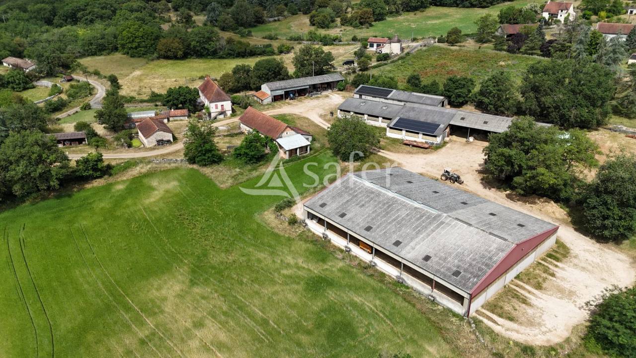 Azienda ovina In vendita Lot