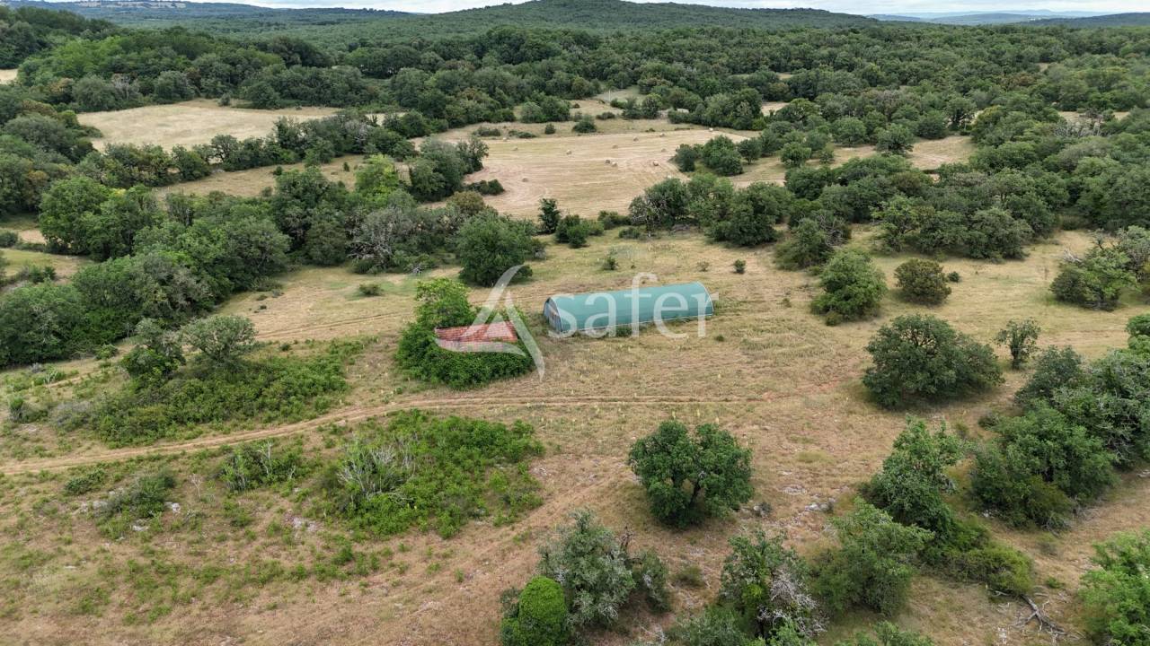 Azienda ovina In vendita Lot