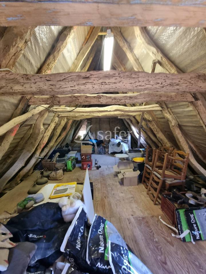 Azienda agricola In vendita Lot