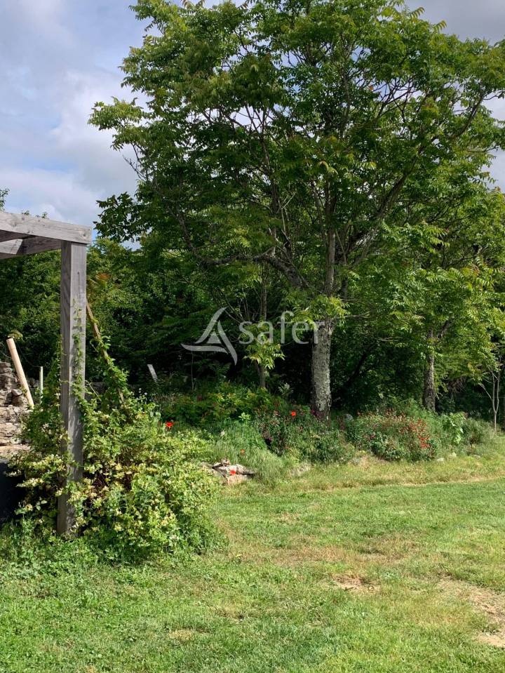 Azienda agricola In vendita Lot