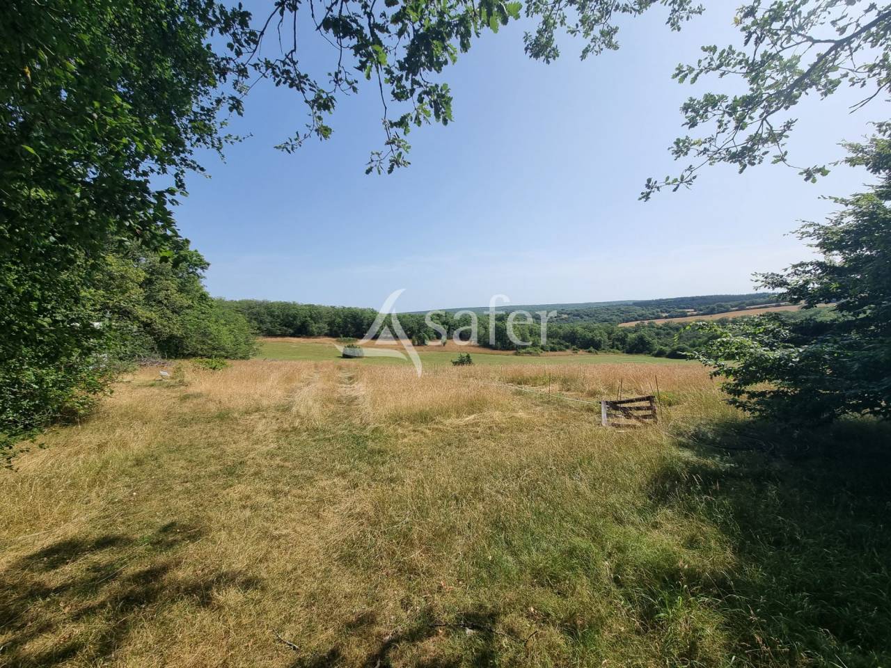 Azienda agricola In vendita Lot