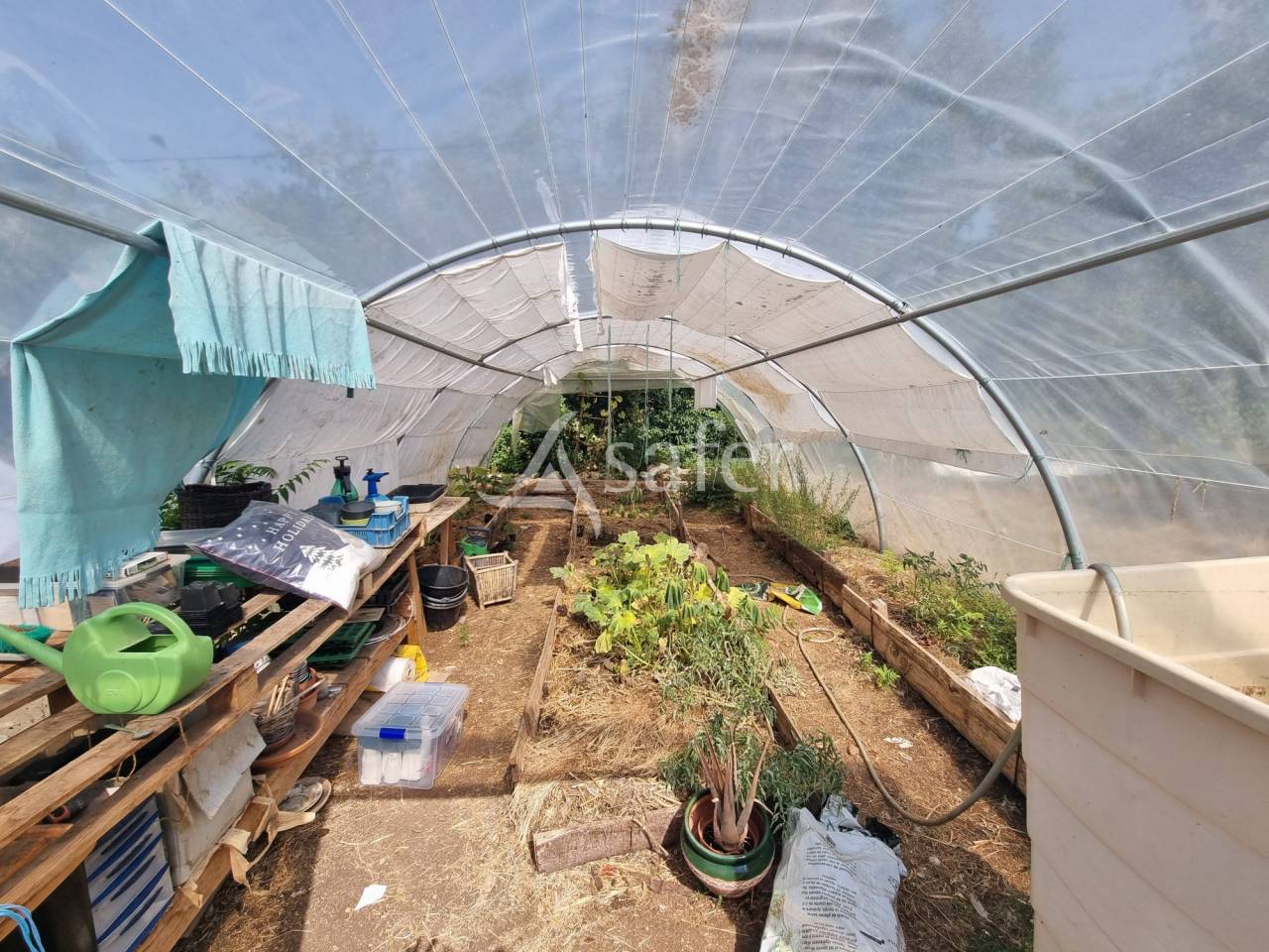 Azienda agricola In vendita Lot