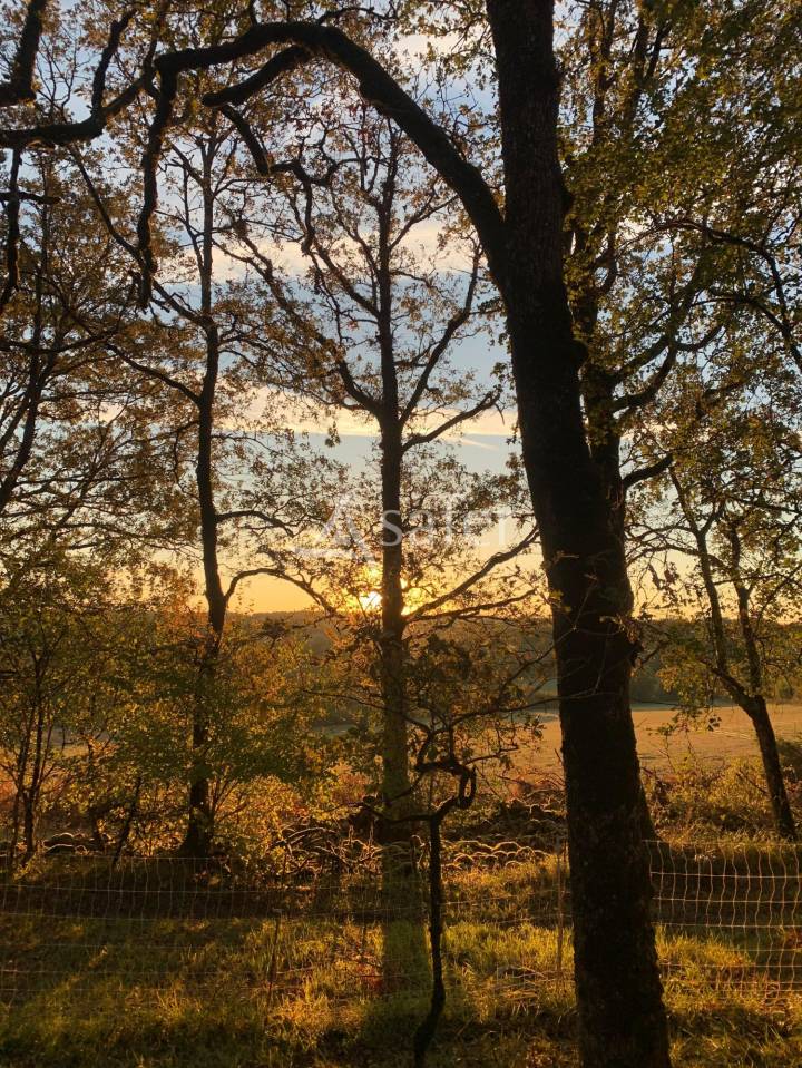 Azienda agricola In vendita Lot