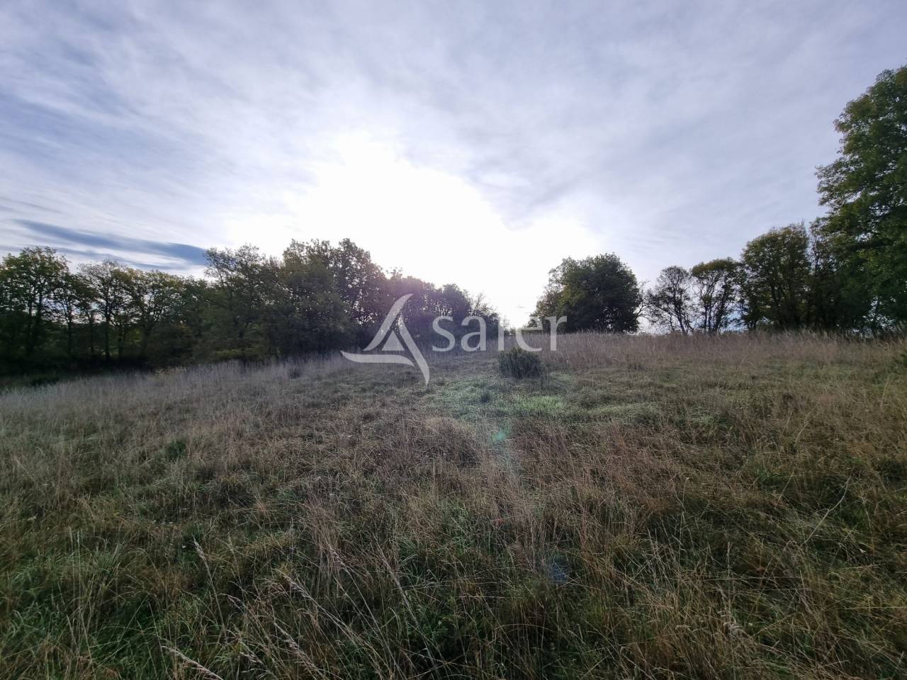 Azienda agricola In vendita Lot