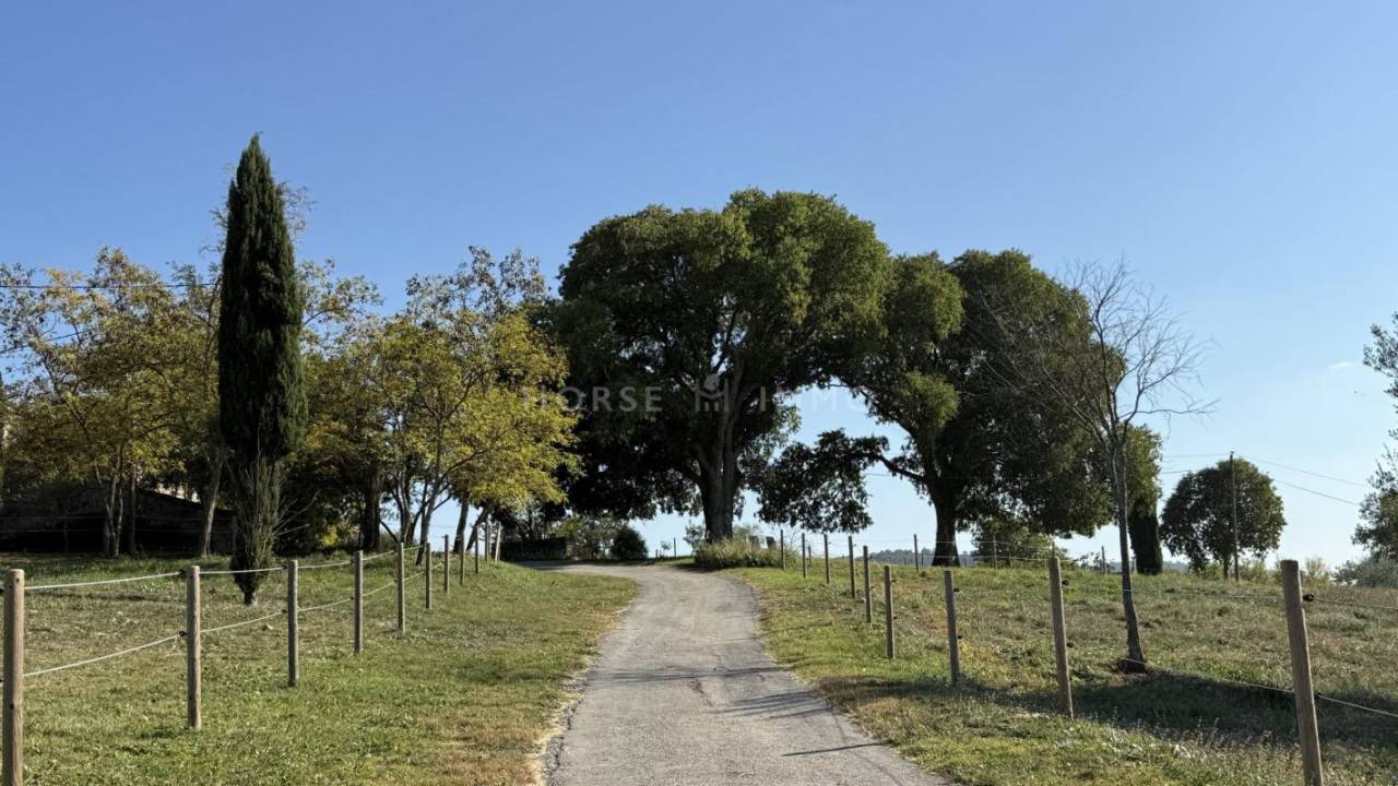 Proprietà equestre In vendita Gard