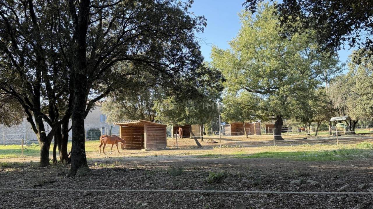 Proprietà equestre In vendita Gard