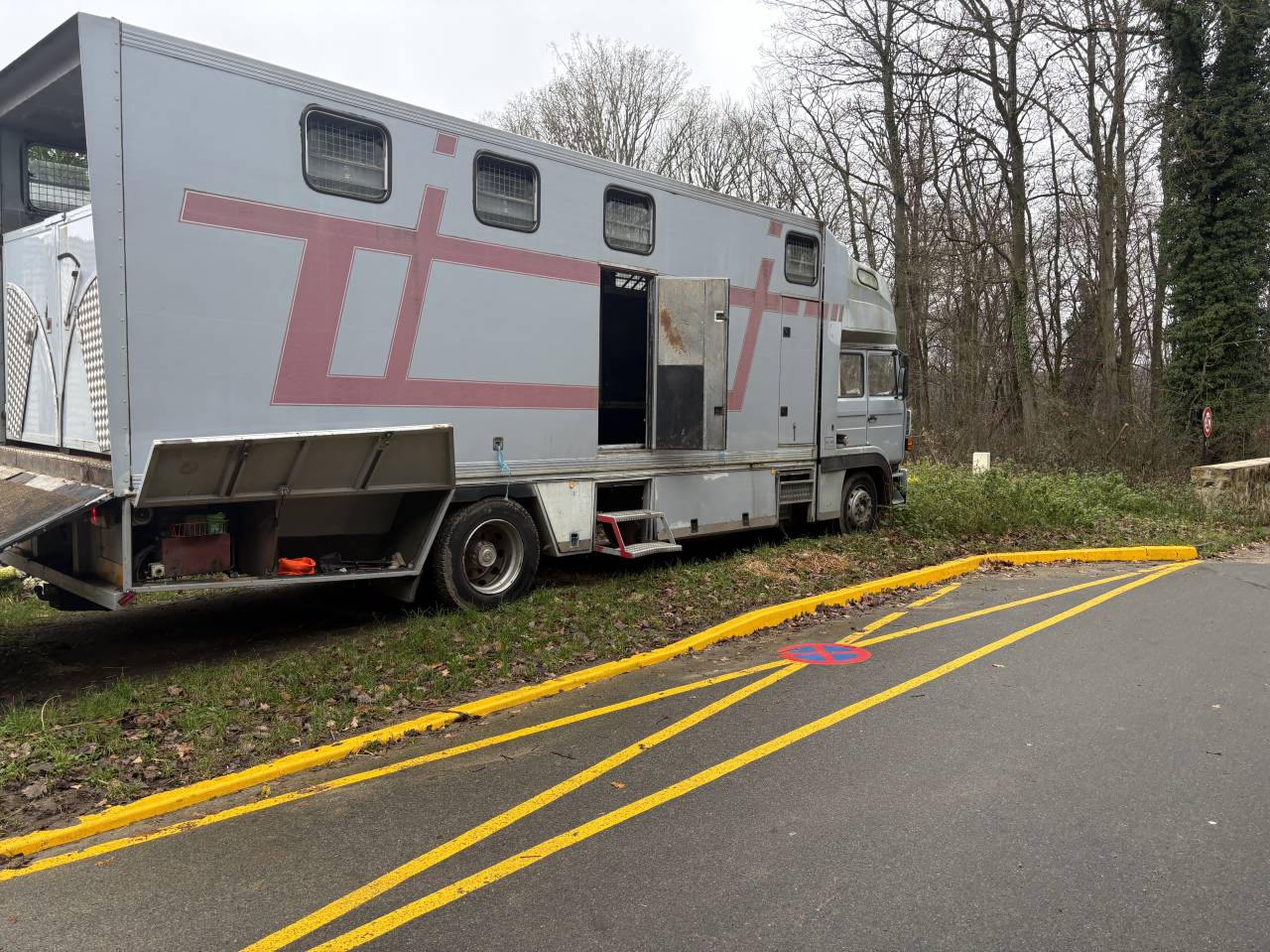 Camion per Cavalli Renault Mildium 1985 Occasione