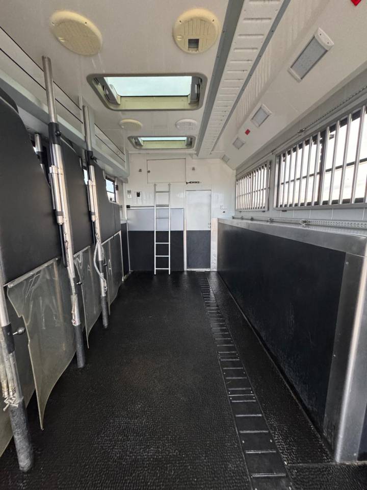 Camion per Cavalli Volvo STX 2018 Occasione