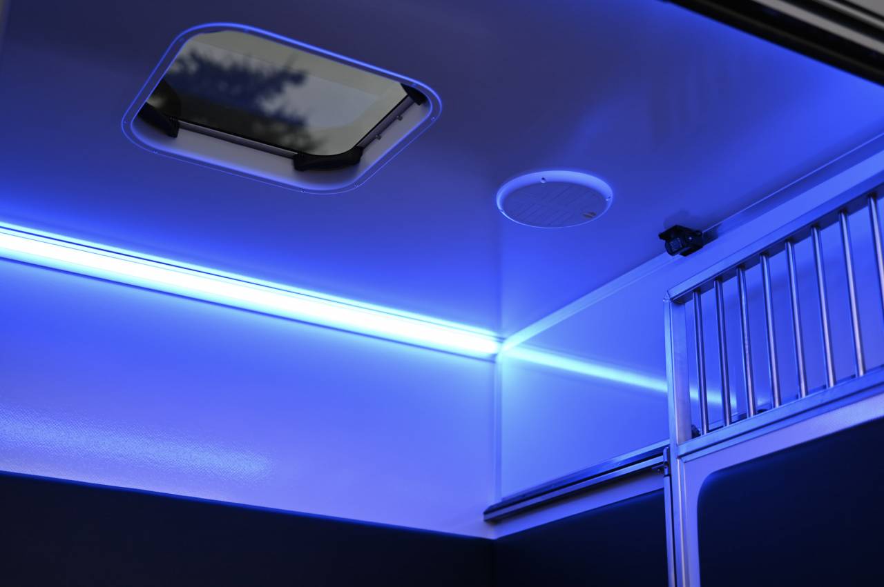 Van per Cavalli Krismar Renault Master 2025 Nuovo