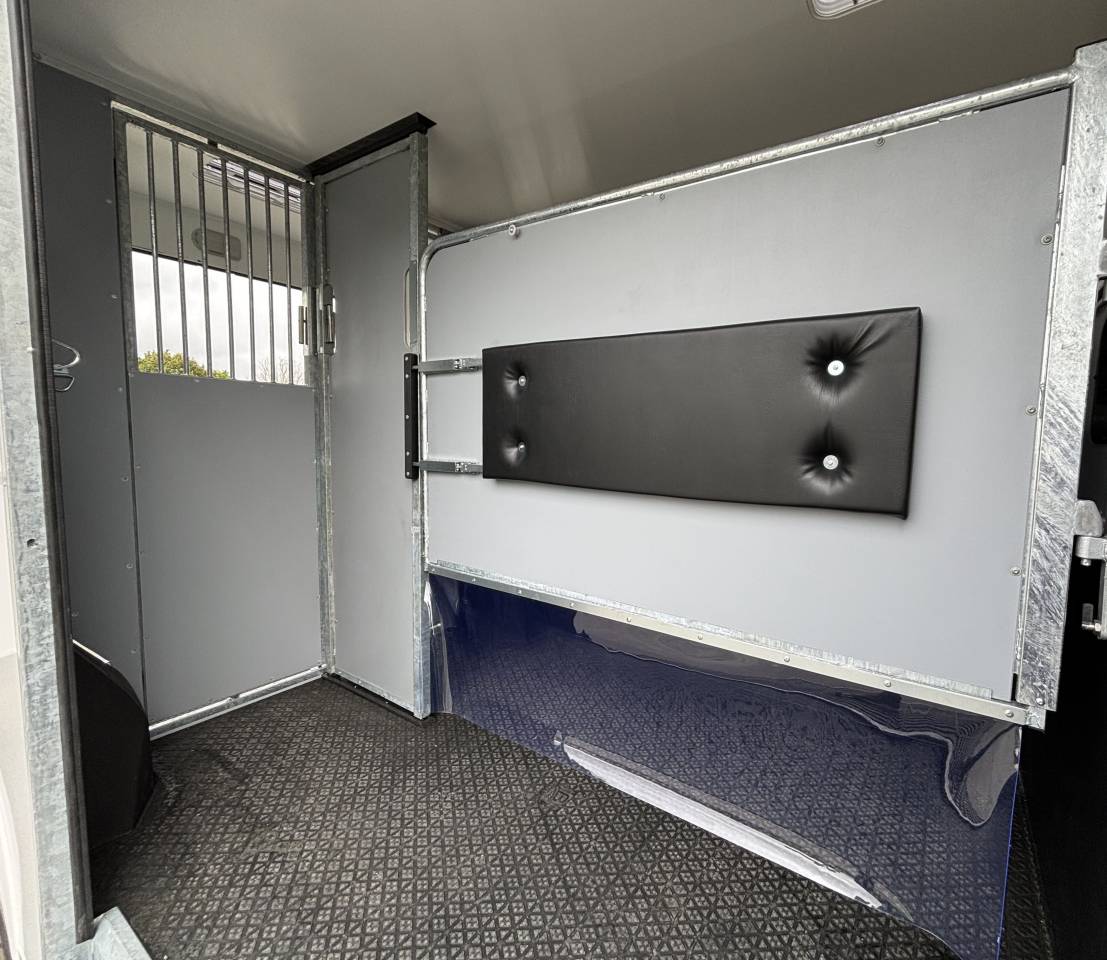 Van per Cavalli AP Petit Interstar 2 places stalle  2025 Nuovo