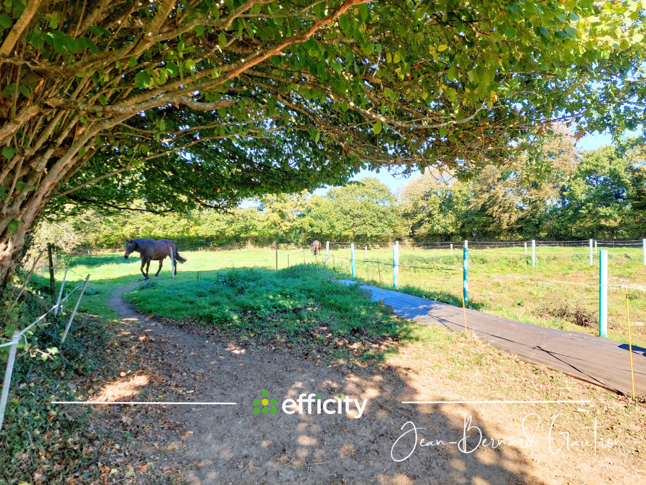 Proprietà equestre In vendita Côte d'Armor