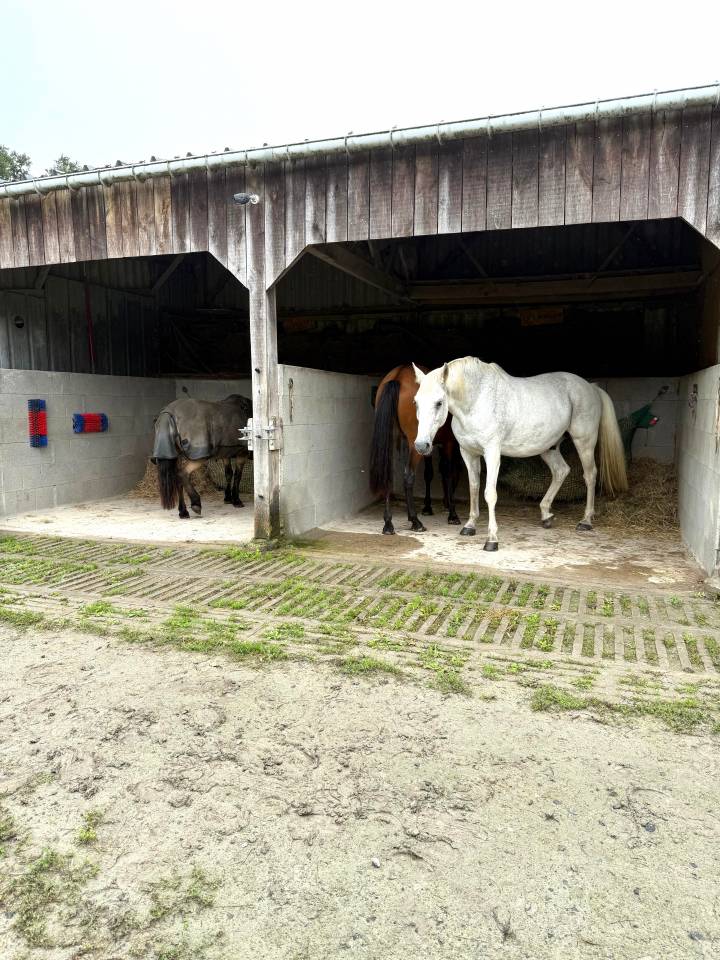 Bella dimora equestre In vendita Ile-et-Vilaine