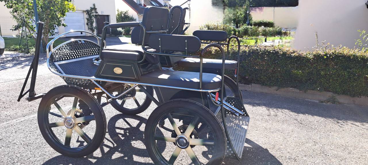 Attacchi - Calesse - Altra marca - Marathon  