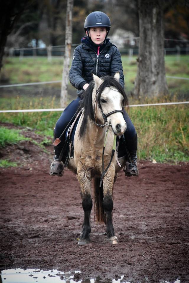 Castrone Welsh Poney (Sezione A) In vendita 2021 Isabella