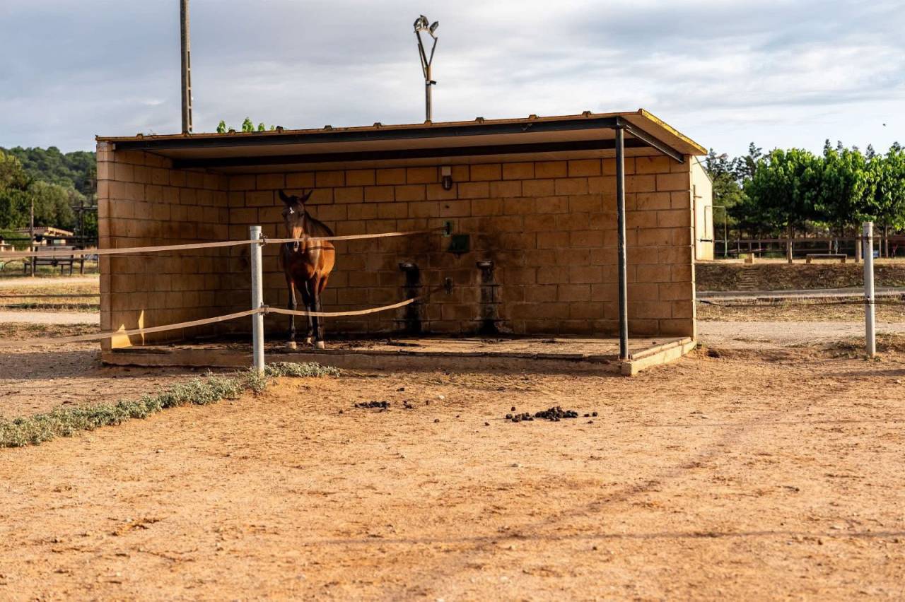Centro ippico In vendita G&eacute;rone