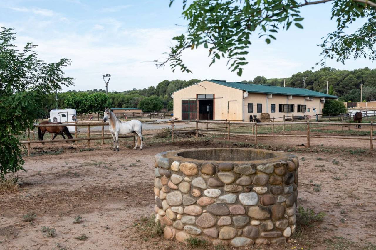 Centro ippico In vendita G&eacute;rone