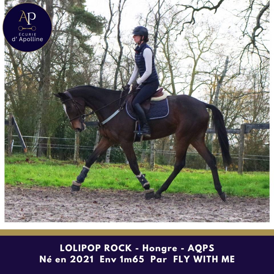 Castrone AQPS In vendita 2021 Baio