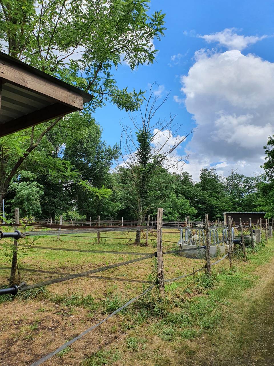 Proprietà equestre In vendita Tarn-et-Garonne