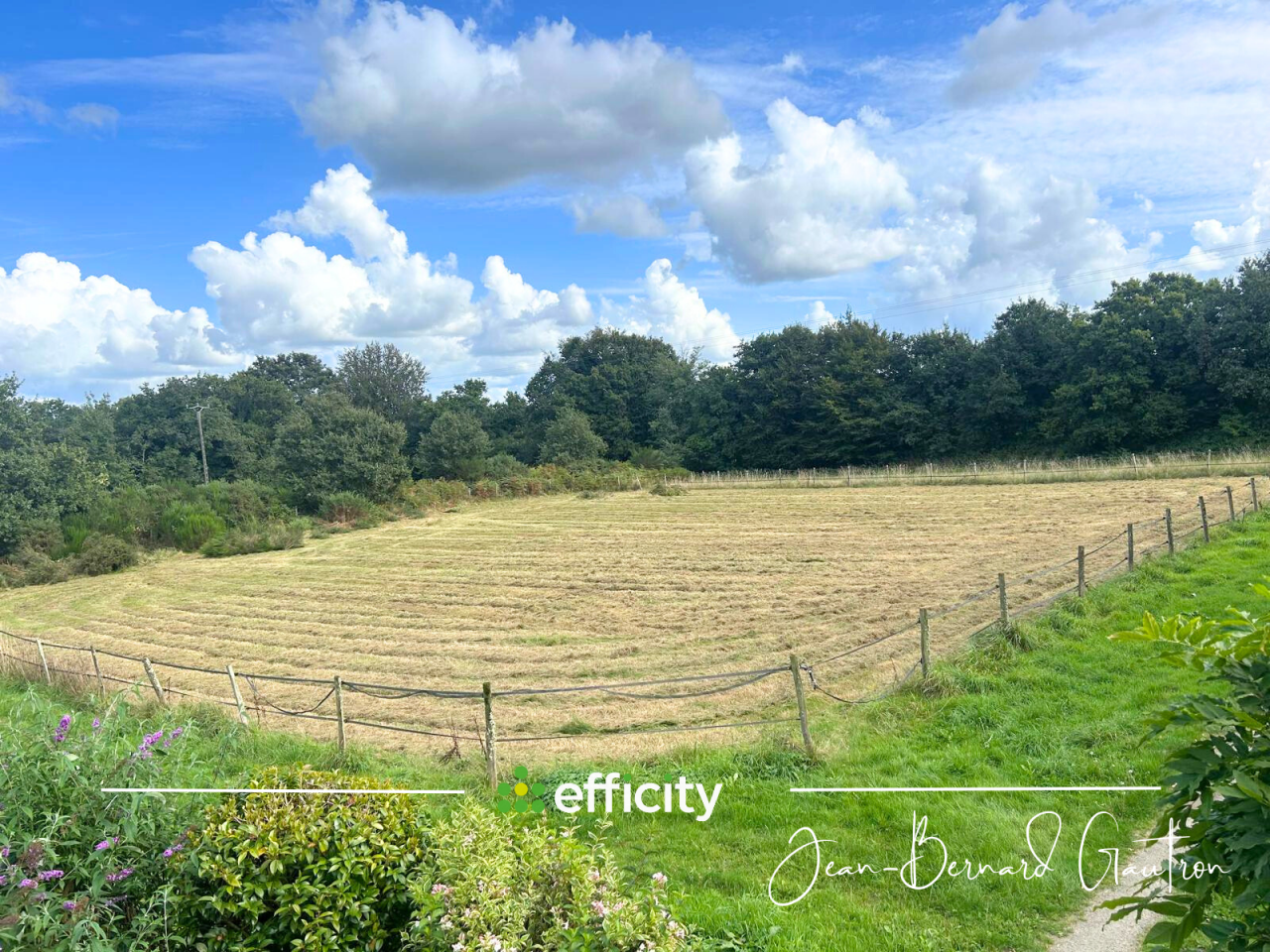 Proprietà equestre In vendita Côte d'Armor