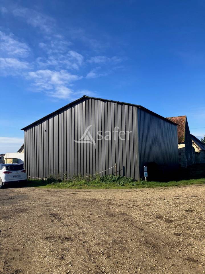 Azienda agricola In vendita Indre-et-Loire