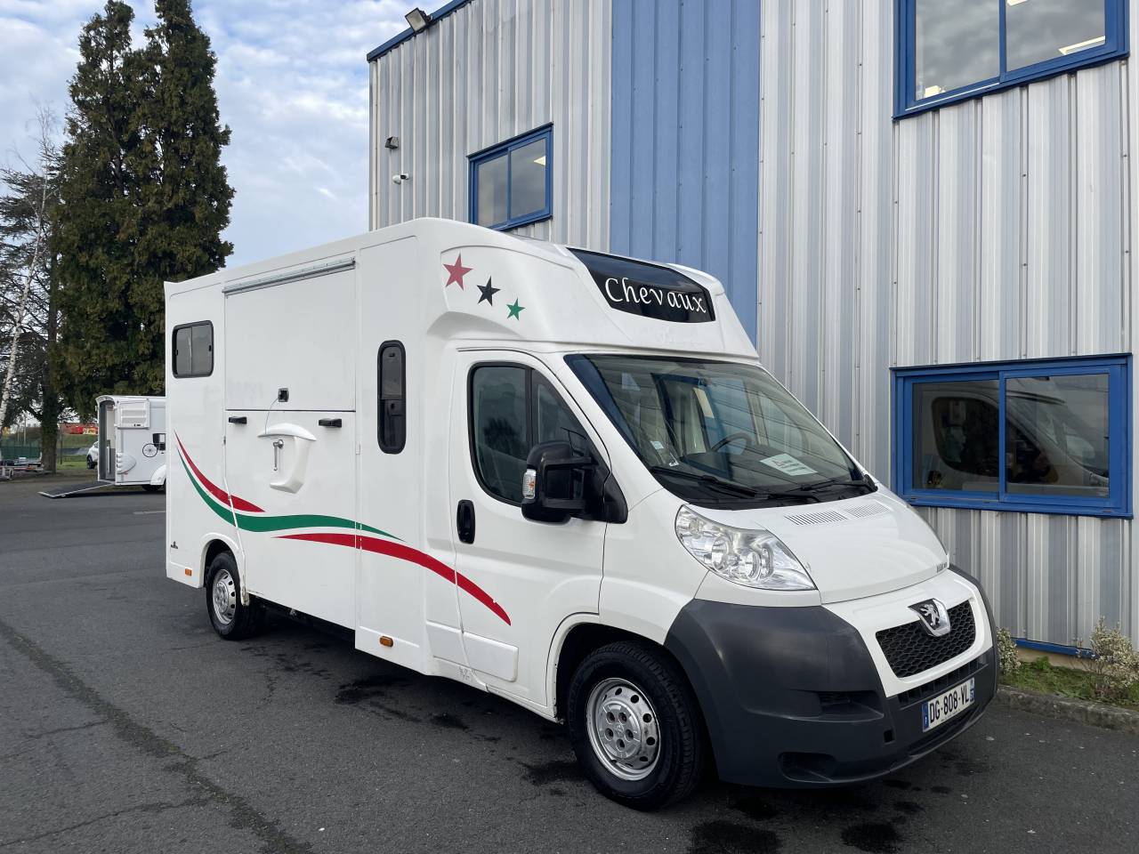 Van per Cavalli Ameline Boxer 2014 Occasione