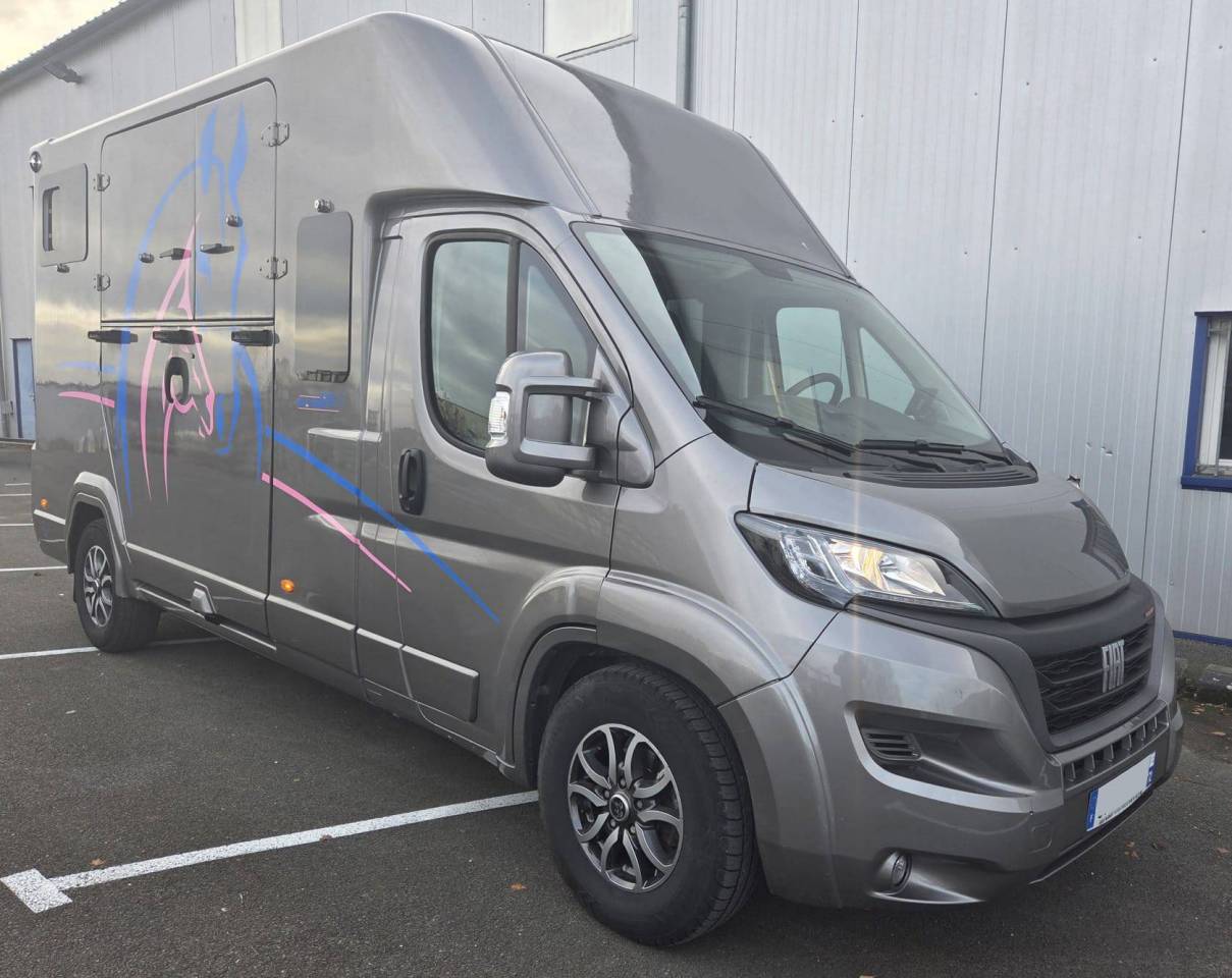 Van per Cavalli Barbot Ducato 2022 Occasione