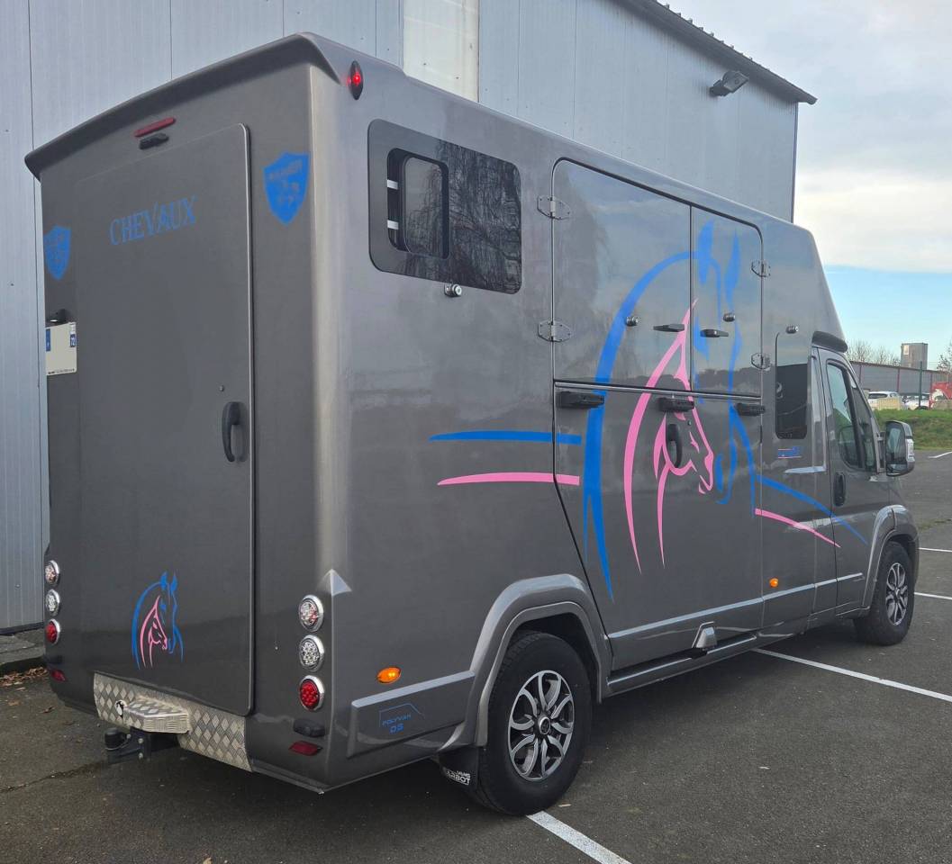 Van per Cavalli Barbot Ducato 2022 Occasione