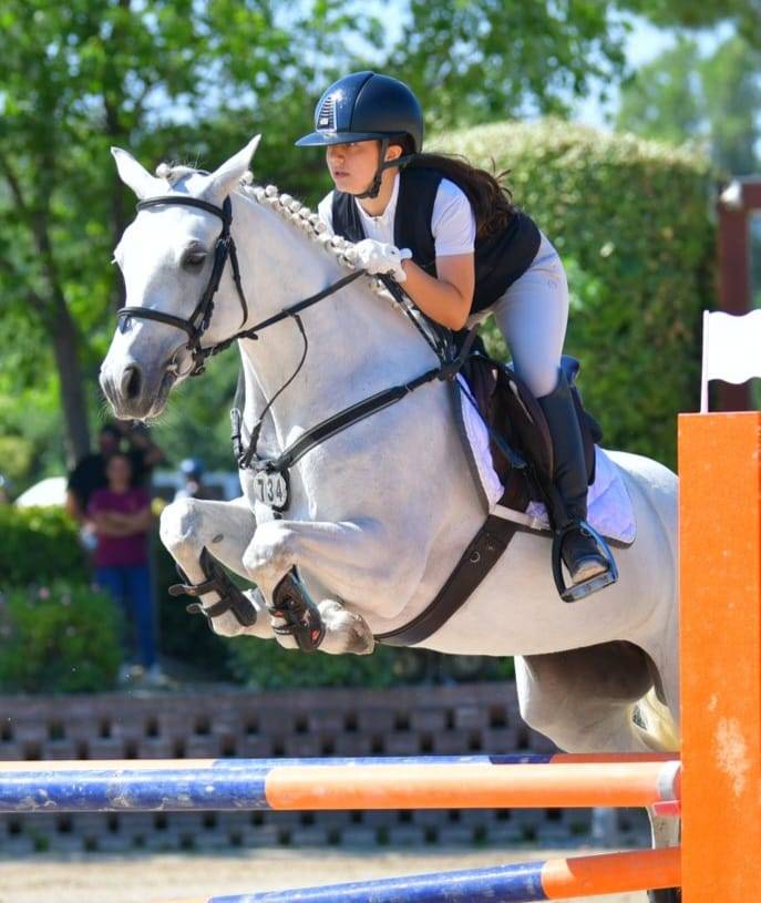 Pony Connemara - femmina 7 anni 