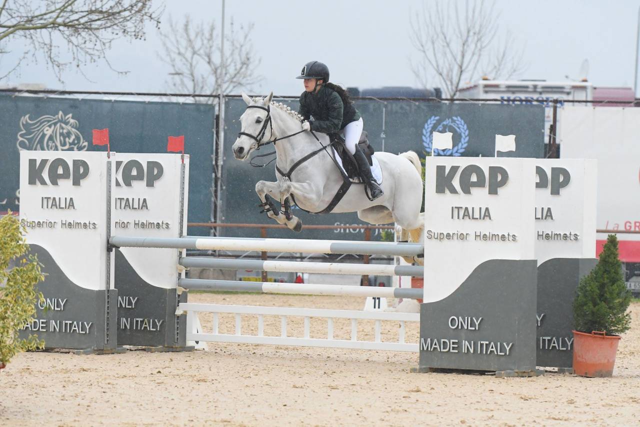 Pony Connemara - femmina 7 anni 