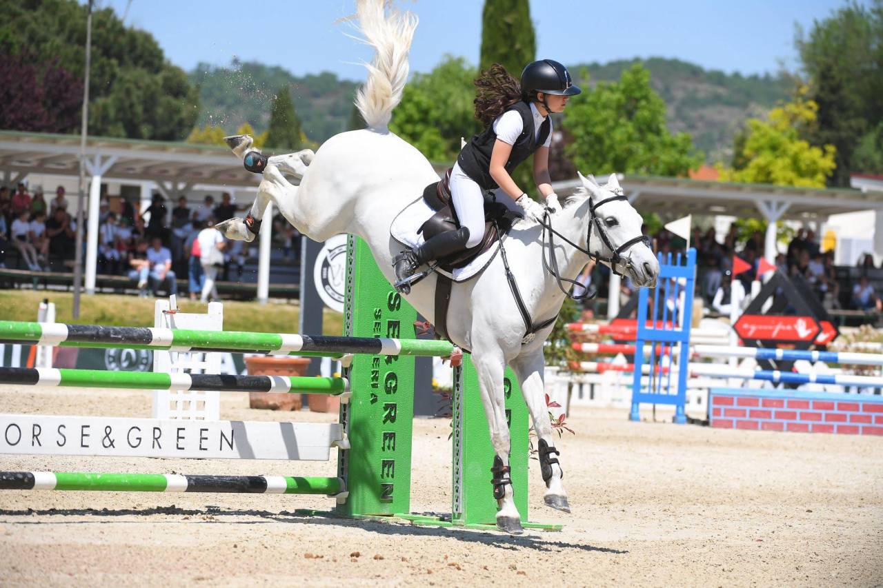 Pony Connemara - femmina 7 anni 