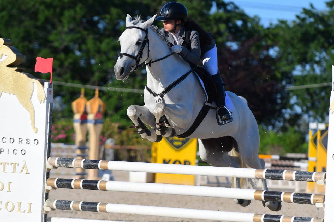 Pony Connemara - femmina 7 anni 