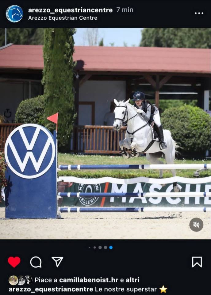 Pony Connemara - femmina 7 anni 