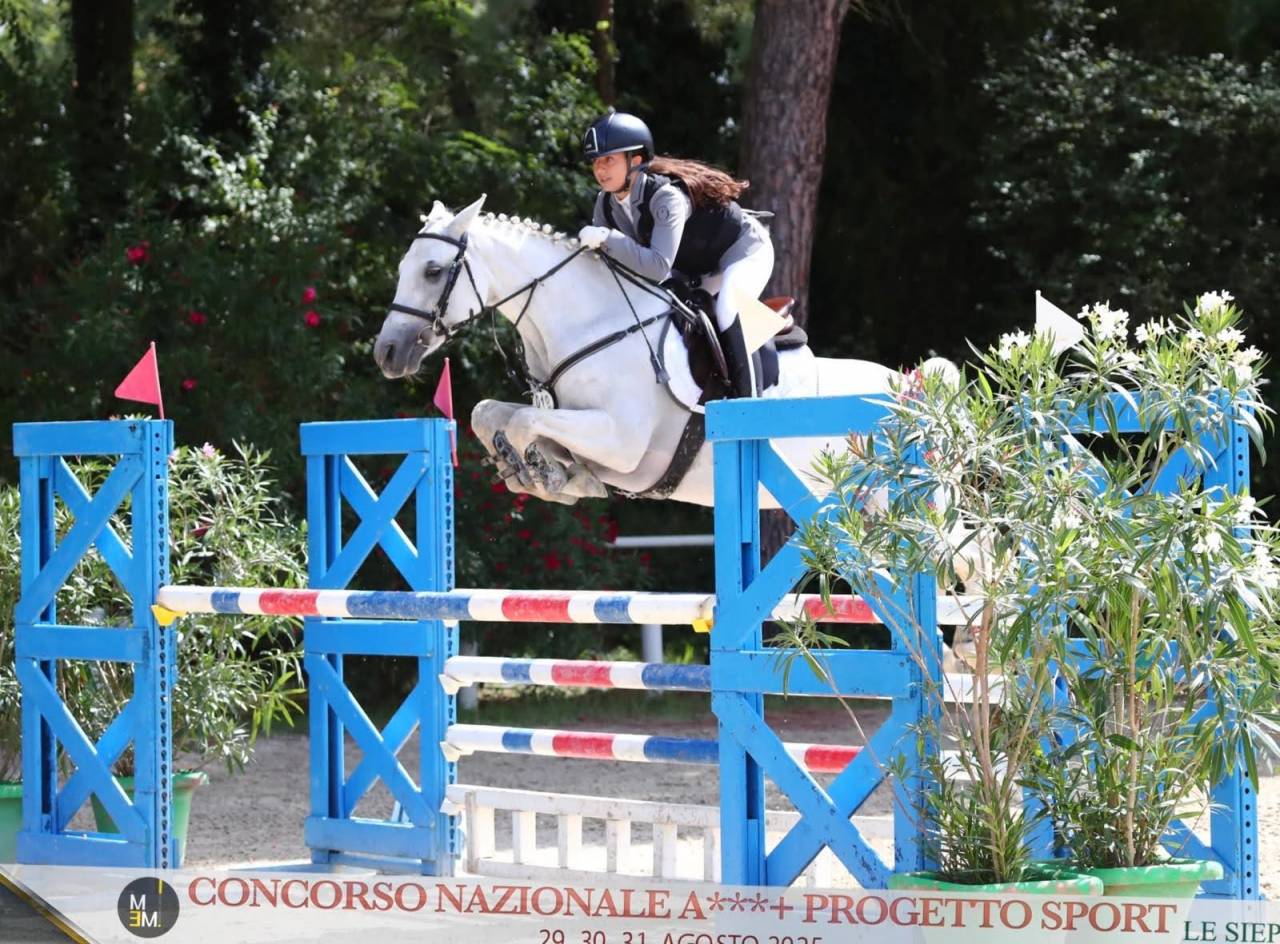 Pony Connemara - femmina 7 anni 