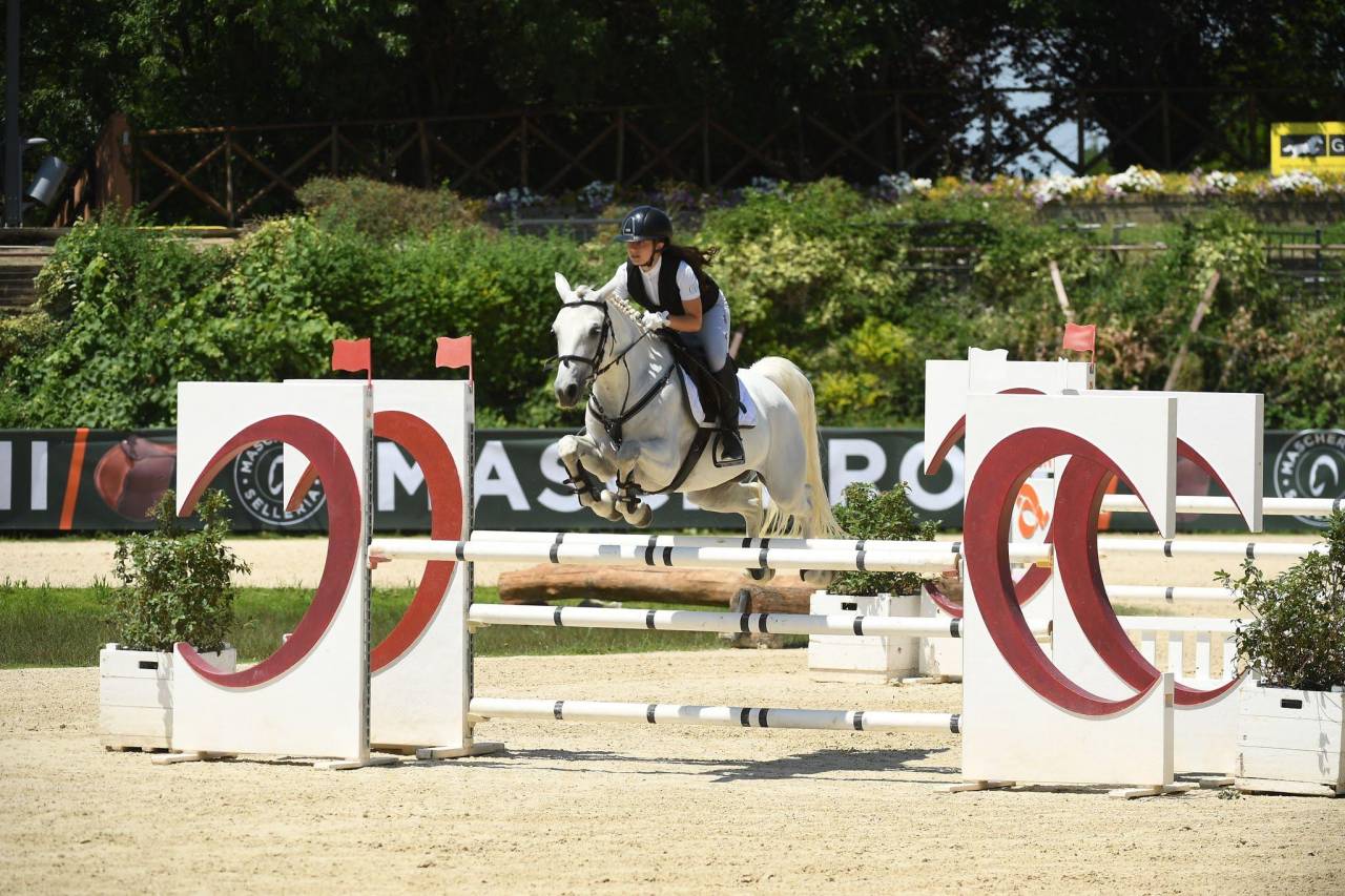 Pony Connemara - femmina 7 anni 