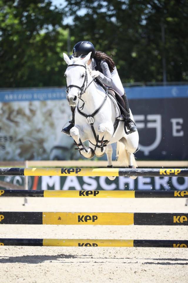 Pony Connemara - femmina 7 anni 