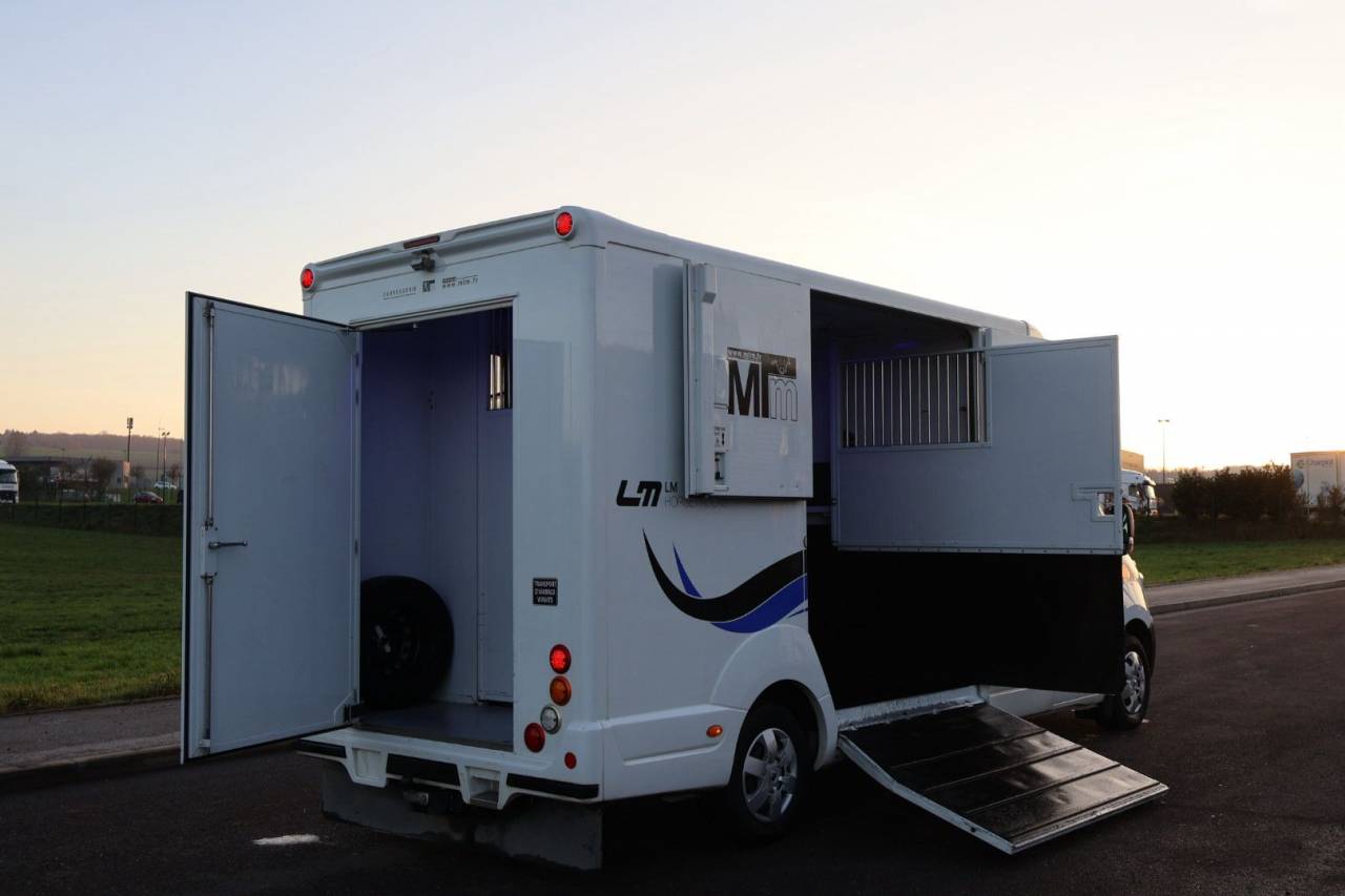 Van per Cavalli MTM FILOVAN MASTER  2018 Occasione