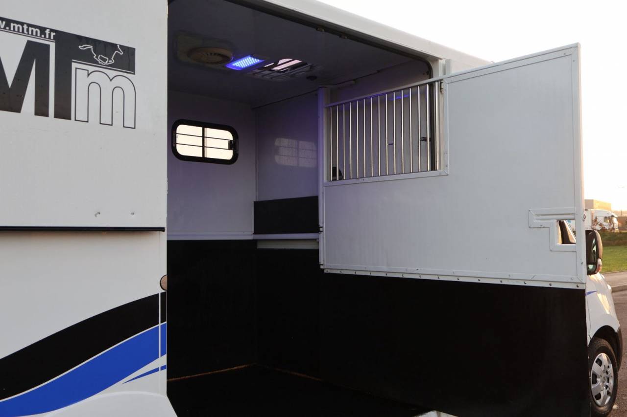 Van per Cavalli MTM FILOVAN MASTER  2018 Occasione