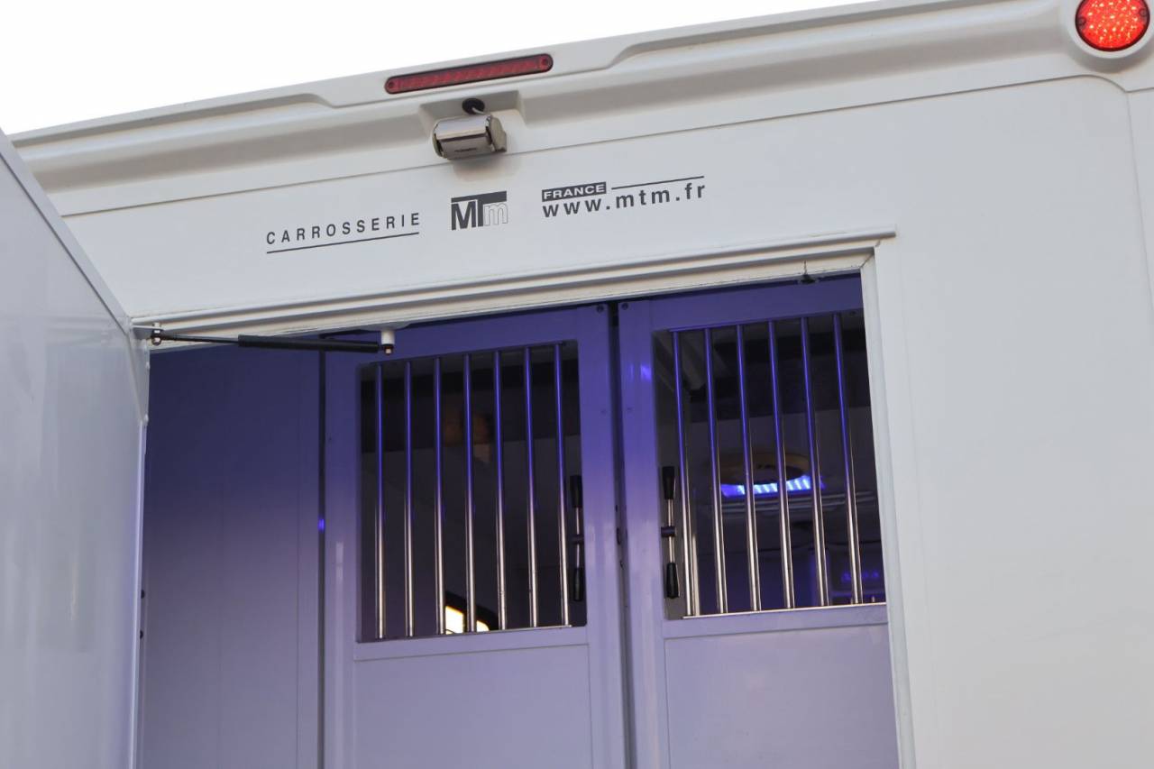 Van per Cavalli MTM FILOVAN MASTER  2018 Occasione