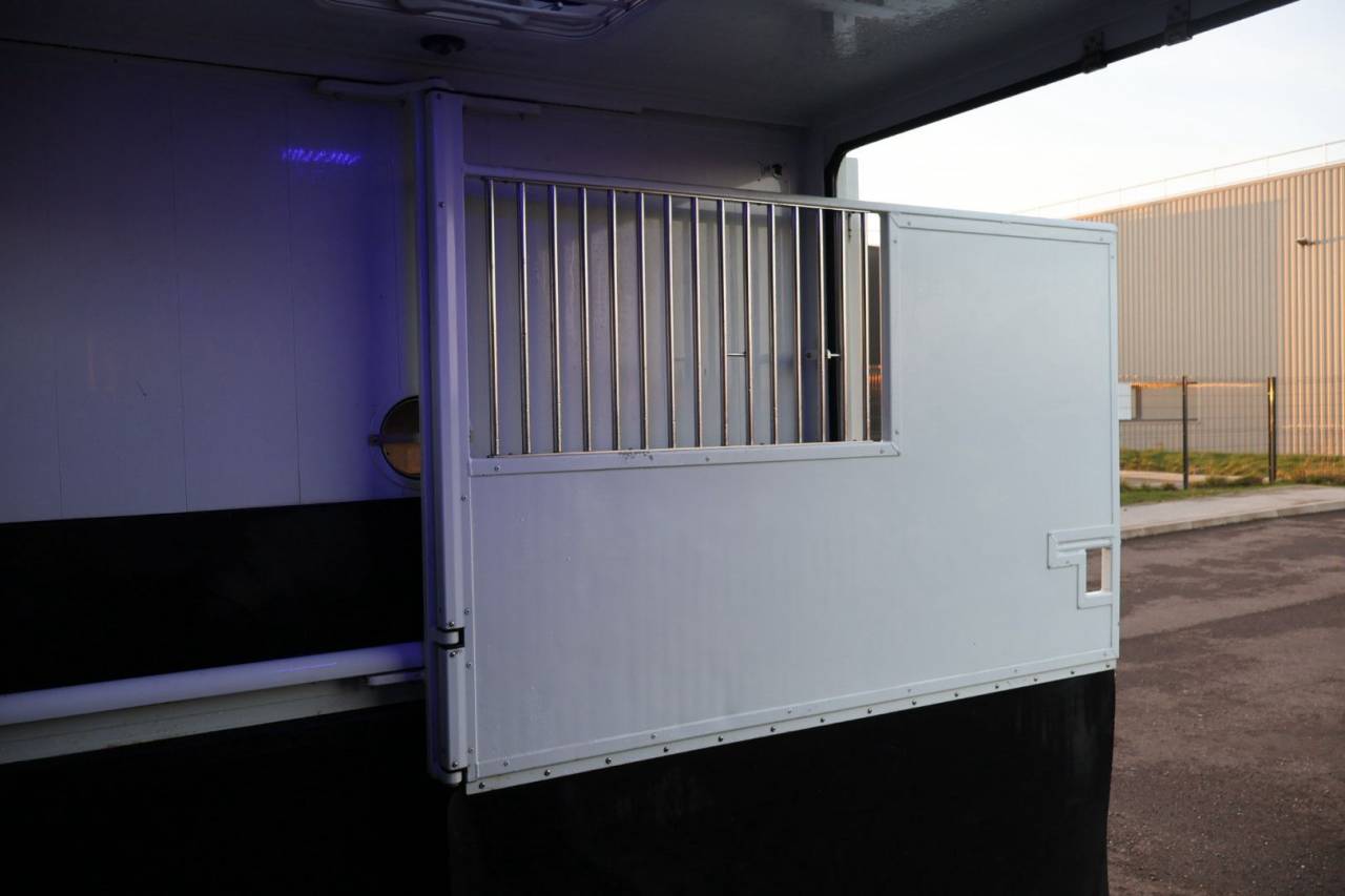 Van per Cavalli MTM FILOVAN MASTER  2018 Occasione