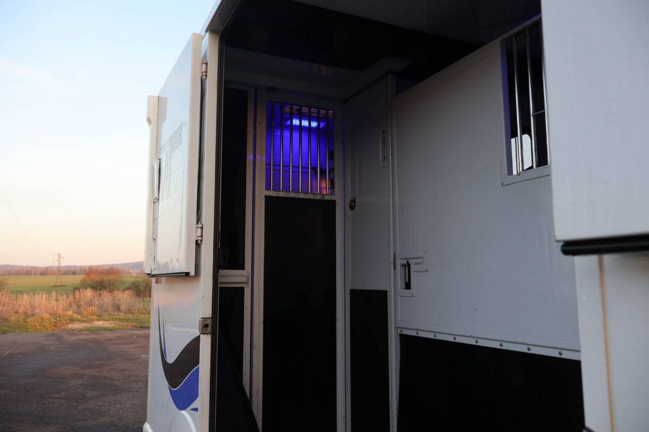 Van per Cavalli MTM FILOVAN MASTER  2018 Occasione