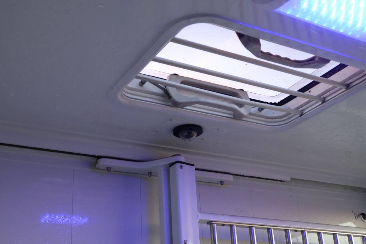 Van per Cavalli MTM FILOVAN MASTER  2018 Occasione