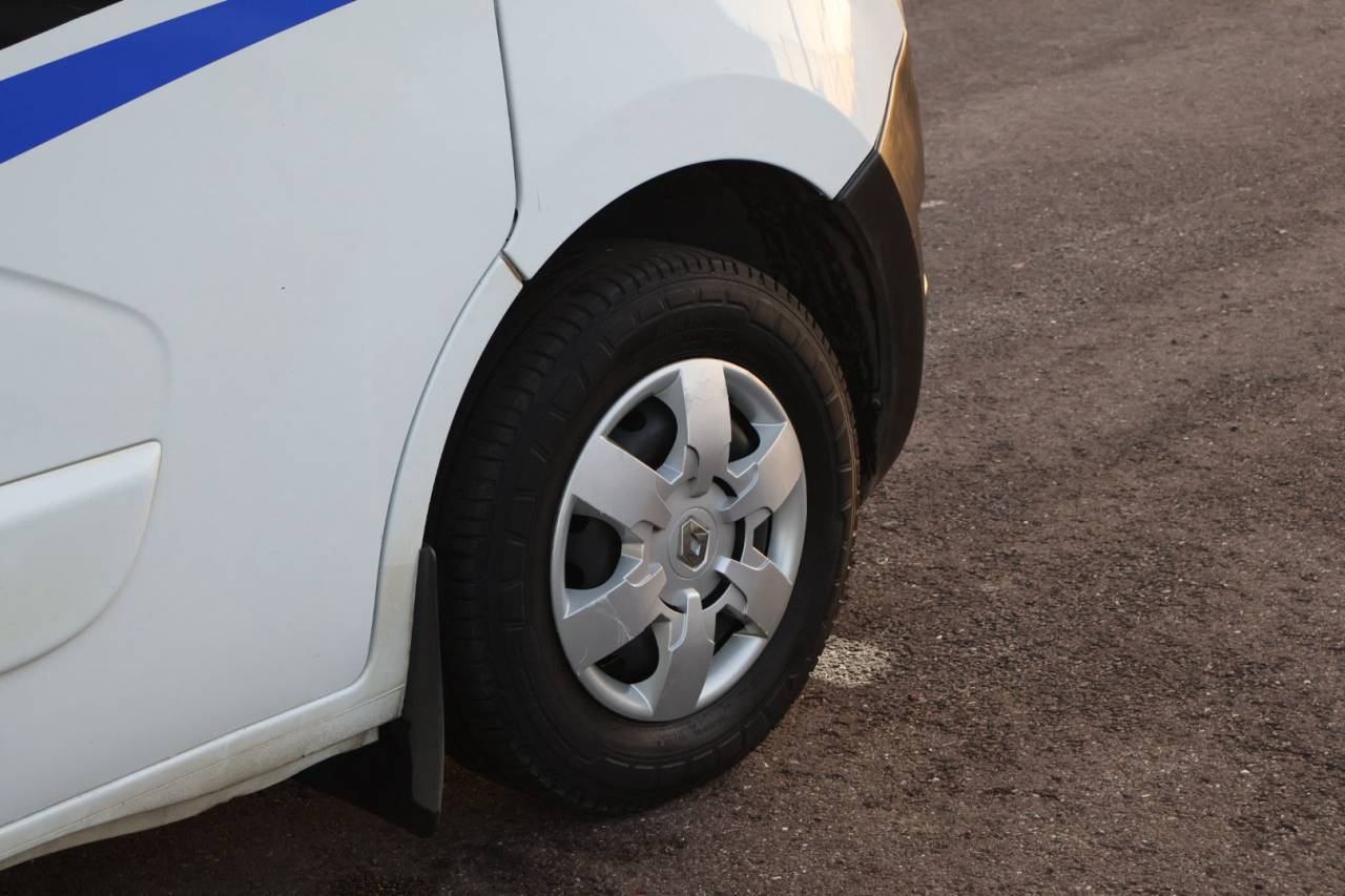 Van per Cavalli MTM FILOVAN MASTER  2018 Occasione